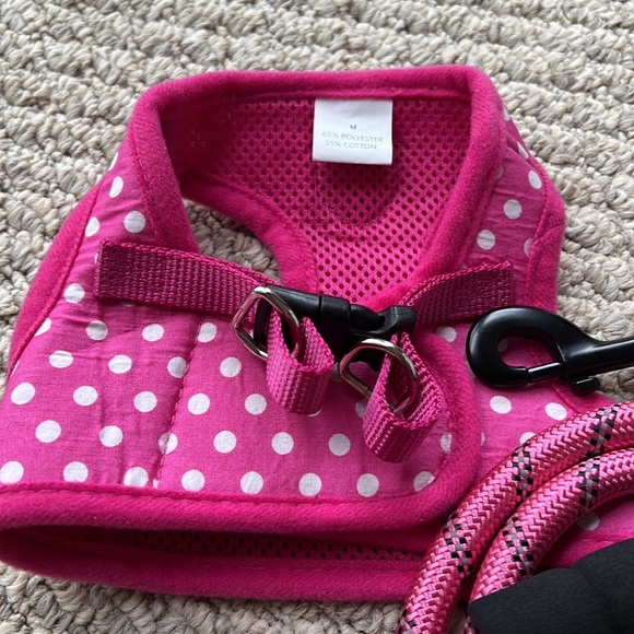 Harness and leash size M - Picture 3 of 3